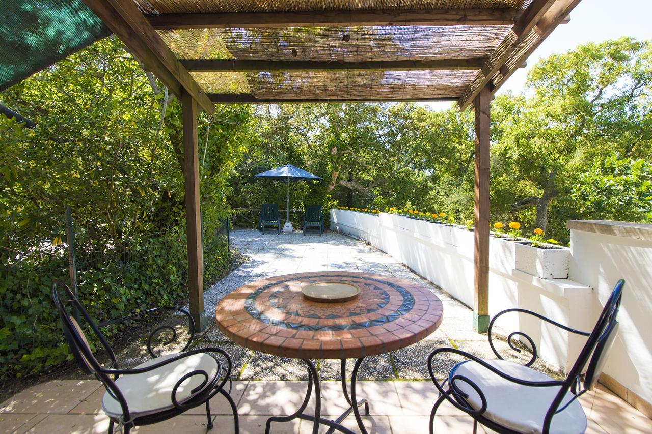 Residence Oasis Campiglia Marittima Bagian luar foto
